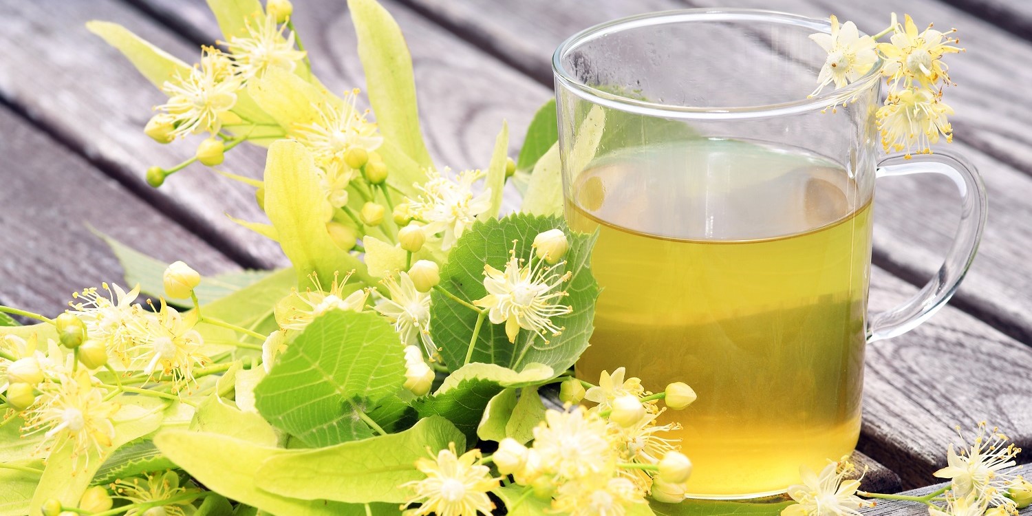 Auf einem Holzuntergrund liegen gelb-grünliche Lindenblüten, Knospen und Blätter. Daneben steht ein Glas mit Lindeblütentee. . Artikel "Linde ist Heilpflanze des Jahres" öffnen.